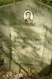 Кривошейн Михаил Исаакович, Москва, Востряковское кладбище